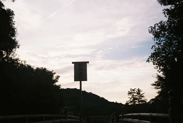 伊勢神宮の写真・動画_image_221095