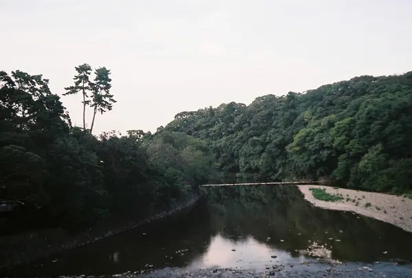 伊勢神宮の写真・動画_image_221096