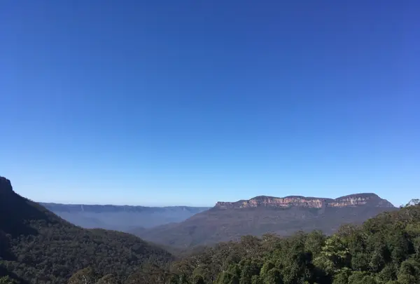 Scenic Worldの写真・動画_image_221155