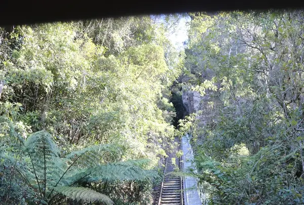 Scenic Worldの写真・動画_image_221159