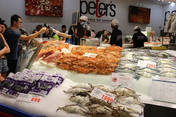 シドニー魚市場の写真・動画_image_221292