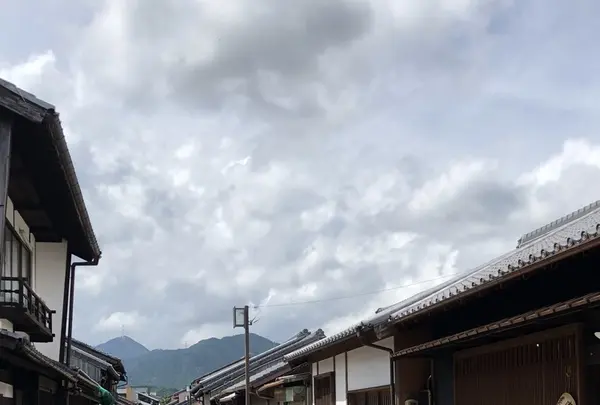 関宿の写真・動画_image_221319