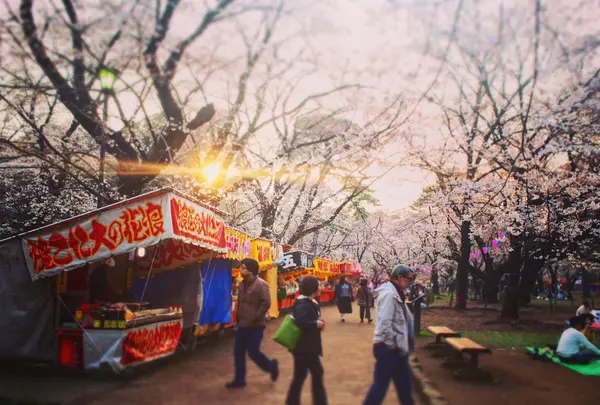 大宮公園の写真・動画_image_221494