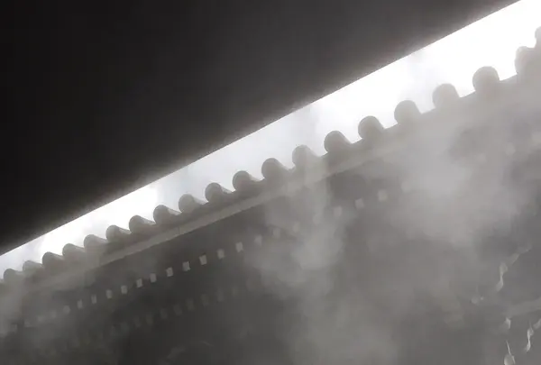 大雲院の写真・動画_image_221520