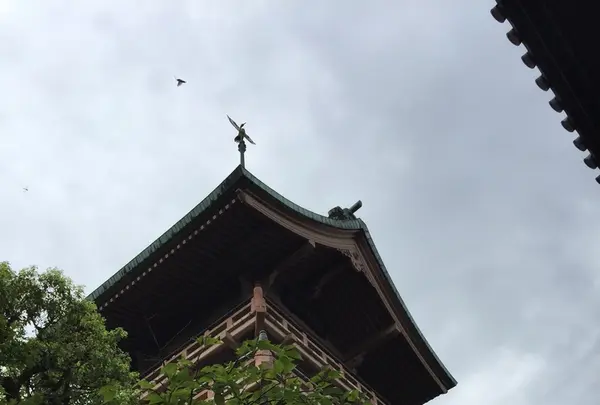 大雲院の写真・動画_image_221521