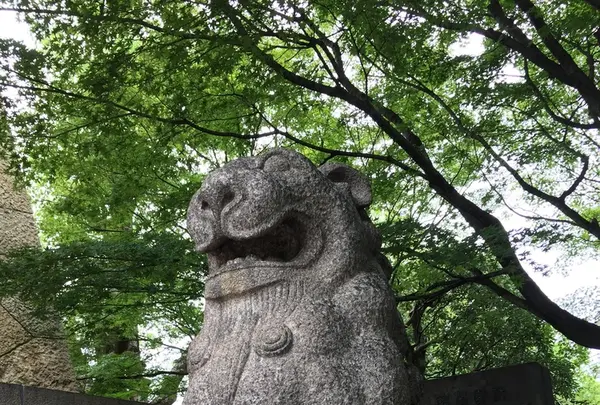 大雲院の写真・動画_image_221523