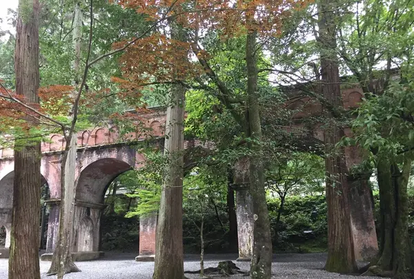 南禅寺の写真・動画_image_221539