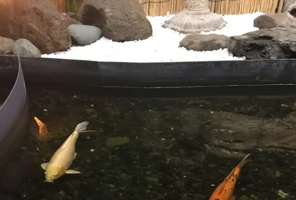 【閉館】東京タワー水族館の写真・動画_image_221608