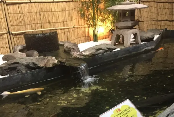 【閉館】東京タワー水族館の写真・動画_image_221611