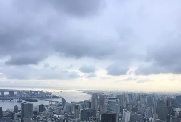 東京タワーの写真・動画_image_221615