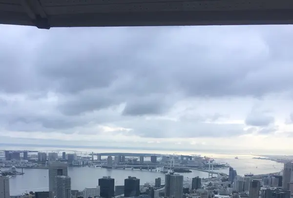 東京タワーの写真・動画_image_221616