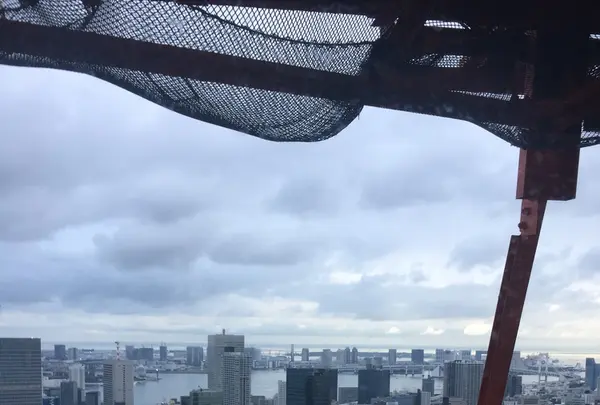 東京タワーの写真・動画_image_221617