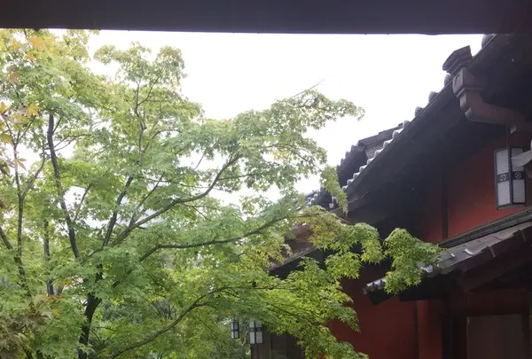 芝とうふ屋 うかいの写真・動画_image_221619