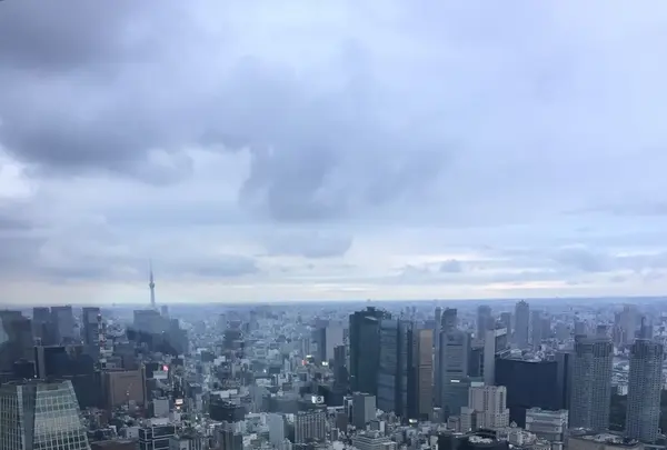 東京タワーの写真・動画_image_221621
