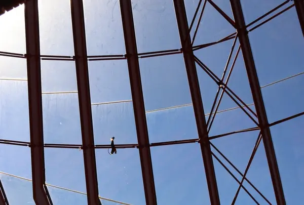 Sydney Opera House（シドニー・オペラハウス）の写真・動画_image_221649