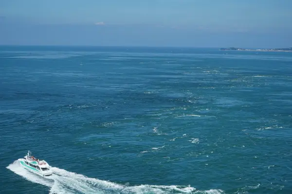 渦の道の写真・動画_image_221707