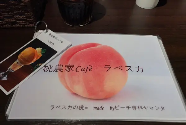 カフェ ラペスカの写真・動画_image_221798