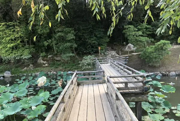 岡山後楽園の写真・動画_image_221946