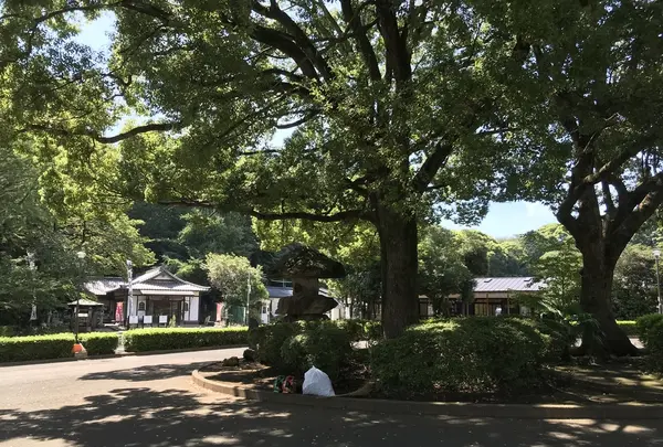 総持寺の写真・動画_image_222110