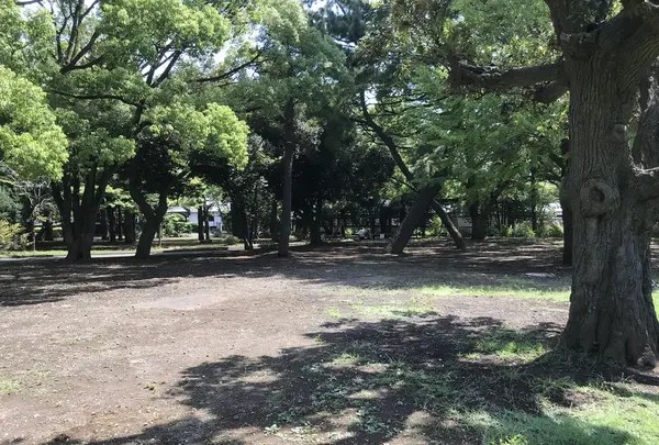 総持寺の写真・動画_image_222125
