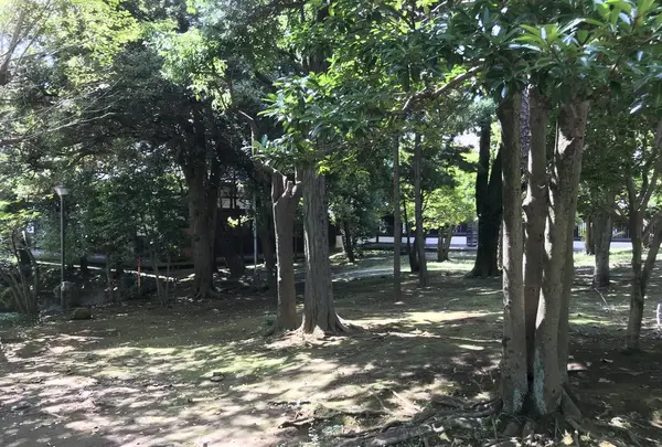 総持寺の写真・動画_image_222130