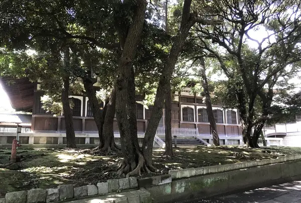 総持寺の写真・動画_image_222141
