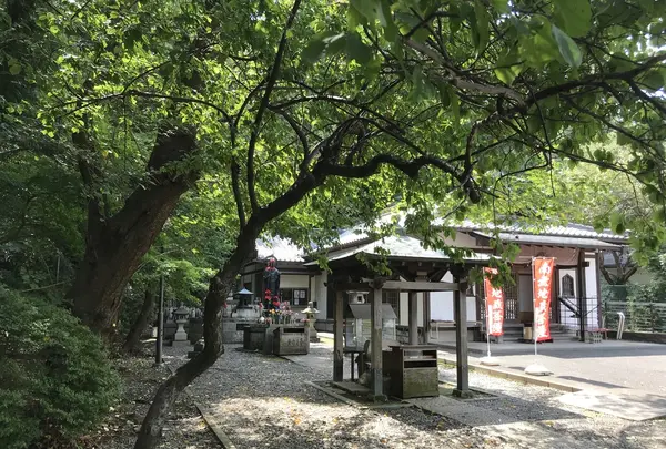 総持寺の写真・動画_image_222154