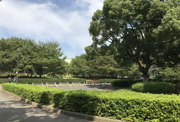 総持寺の写真・動画_image_222157
