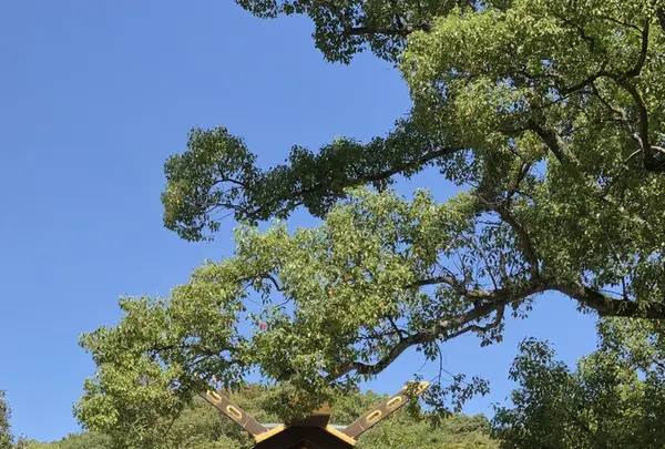猿田彦神社の写真・動画_image_222490