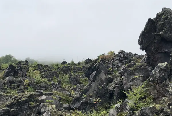 鬼押出しの写真・動画_image_222639