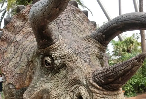 ユニバーサル・スタジオ・ジャパン／Universal Studios Japan／USJの写真・動画_image_222804