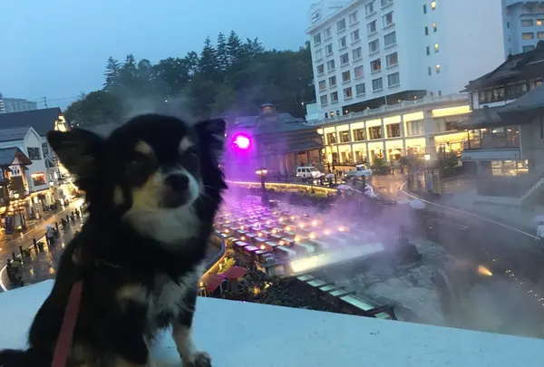 草津温泉 大東舘の写真・動画_image_222899