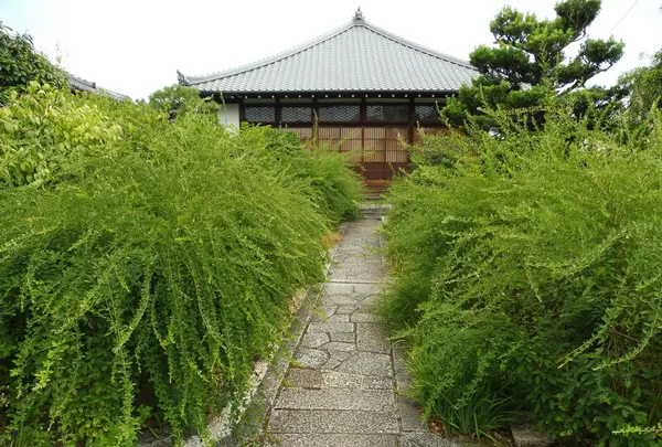 常林寺の写真・動画_image_223018
