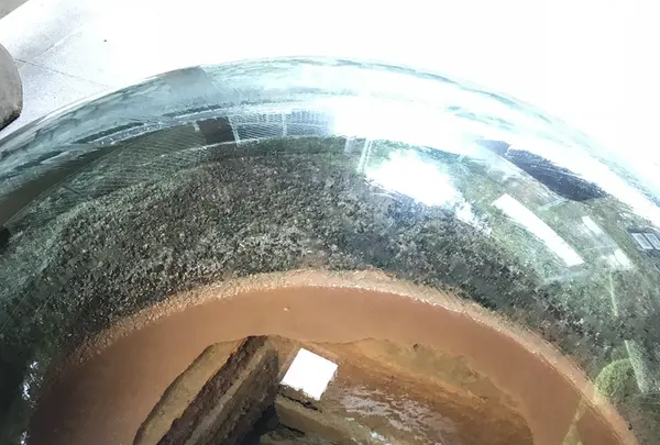 露天風呂の写真・動画_image_223045