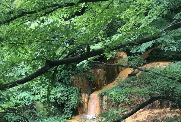 露天風呂の写真・動画_image_223047