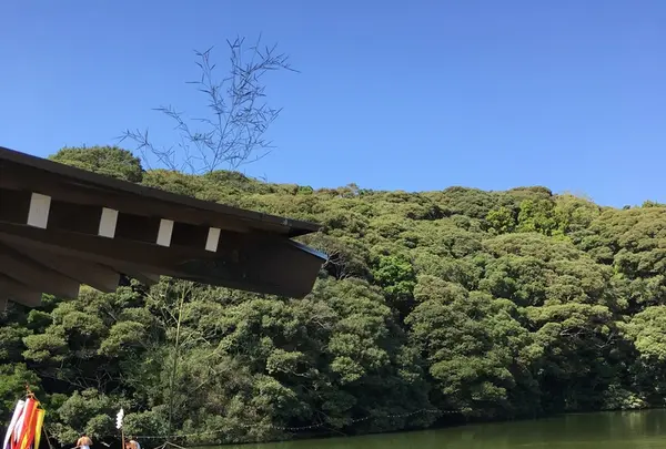 桜ケ池の写真・動画_image_223085