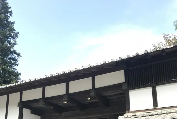 木暮茶寮の写真・動画_image_223087