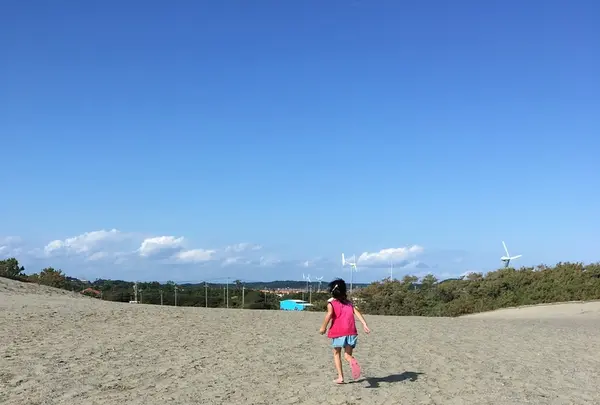 浜岡砂丘の写真・動画_image_223097