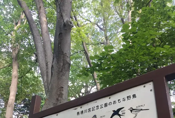 有栖川宮記念公園の写真・動画_image_223110