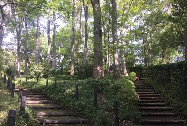 有栖川宮記念公園の写真・動画_image_223114