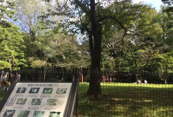 有栖川宮記念公園の写真・動画_image_223115