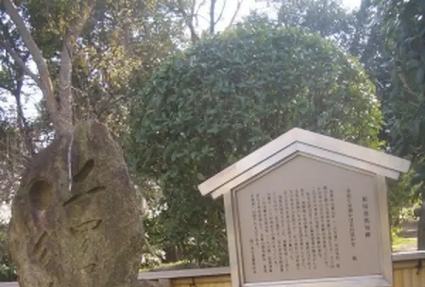 住吉公園の写真・動画_image_223175