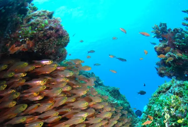 多良間島の写真・動画_image_223213