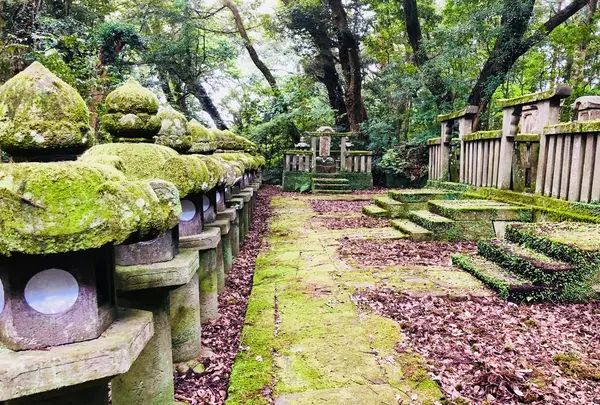 東光寺の写真・動画_image_223239