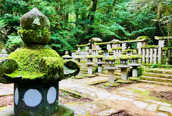 東光寺の写真・動画_image_223240