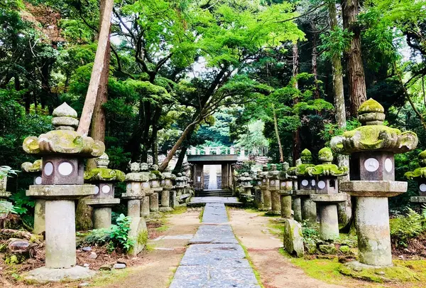 東光寺の写真・動画_image_223241