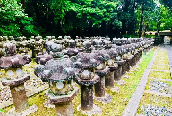 東光寺の写真・動画_image_223245