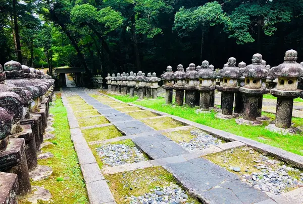 東光寺の写真・動画_image_223247
