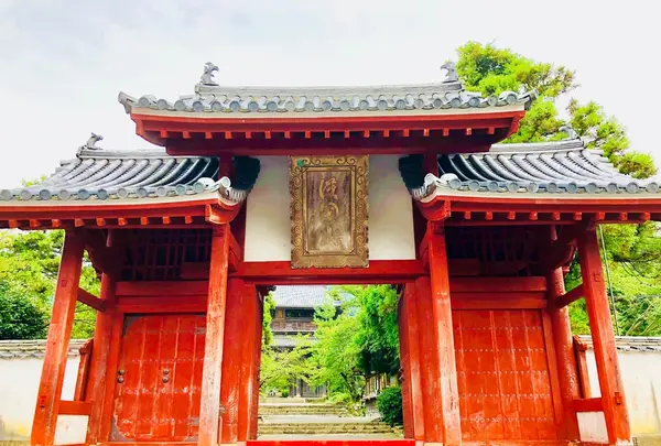 東光寺の写真・動画_image_223248