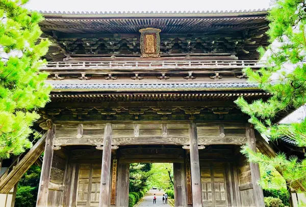 東光寺の写真・動画_image_223249